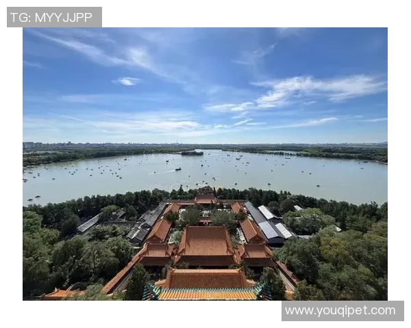 武汉乒乓球队在联合会杯中的崛起与突破之路全景回顾