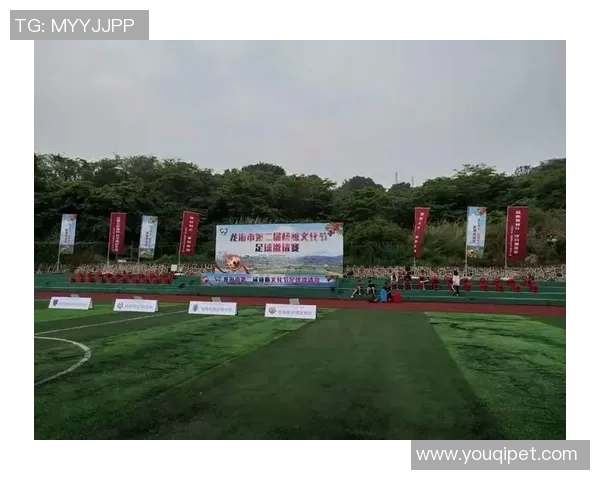 杨梅足球明星的背后故事与成就揭秘