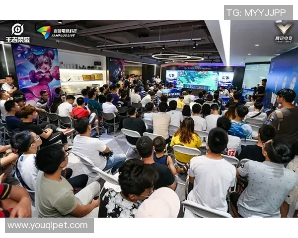 深圳乒乓球队的奋斗与荣耀城市联赛特别报道全景回顾