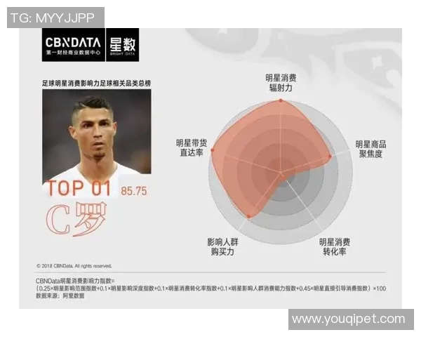足球明星个人能力的全面解析与影响力探讨