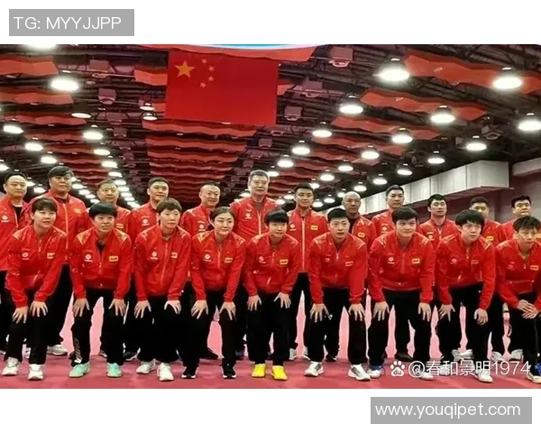 成都乒乓球队团队协作引发热议背后的争议与反思