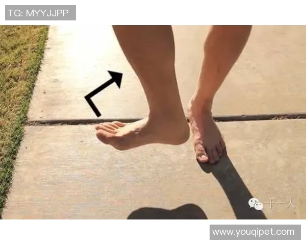 足球明星如何科学保养脚踝保持最佳状态的图片分享与技巧解析